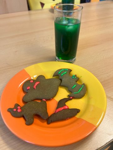 camaster 8